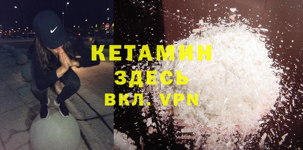 гидра Аркадак