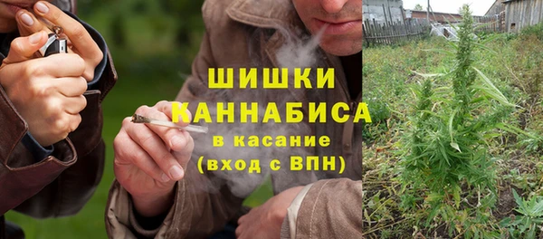 спайс Арсеньев