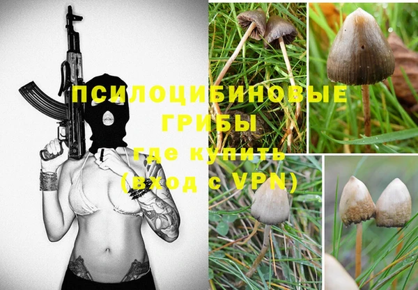 гидра Аркадак