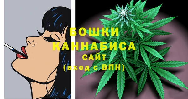 гидра Аркадак